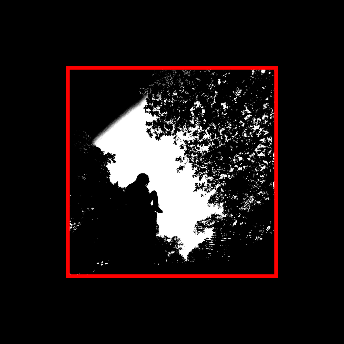 MUSIQUE D’VIE NOIRE / COMPACT DISC